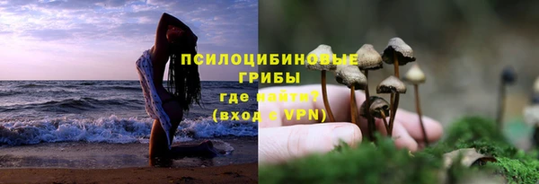 ешки Армянск