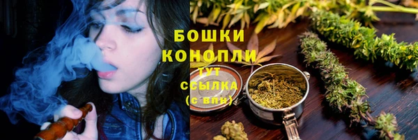 соль ск Арсеньев