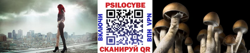 наркотики  Теберда  Псилоцибиновые грибы MAGIC MUSHROOMS 